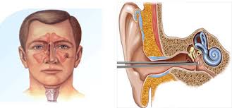 عيادة الانف والاذن والحنجرة